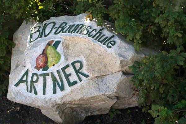 Large stone with the inscription 'Bio-Baumschule Artner' and painted fruit, surrounded by green plants.