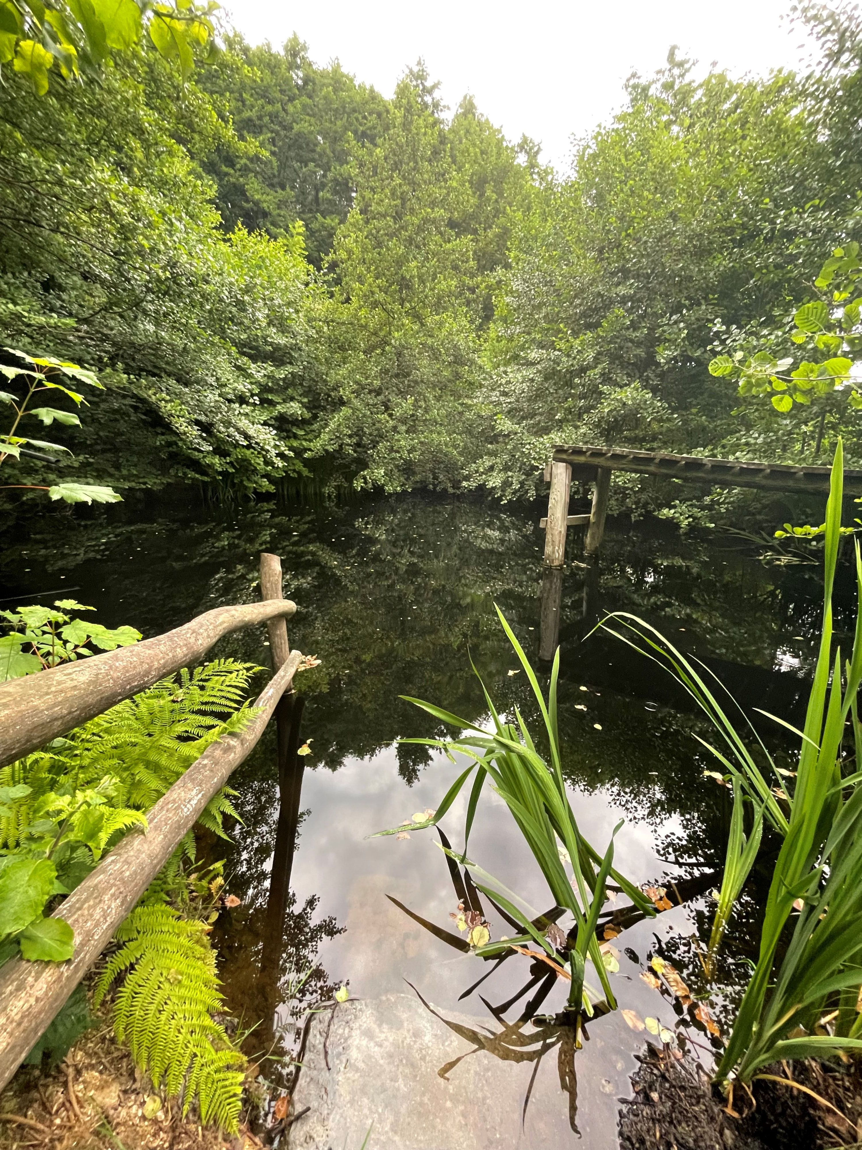Private natural swimming pond above the vacation apartment