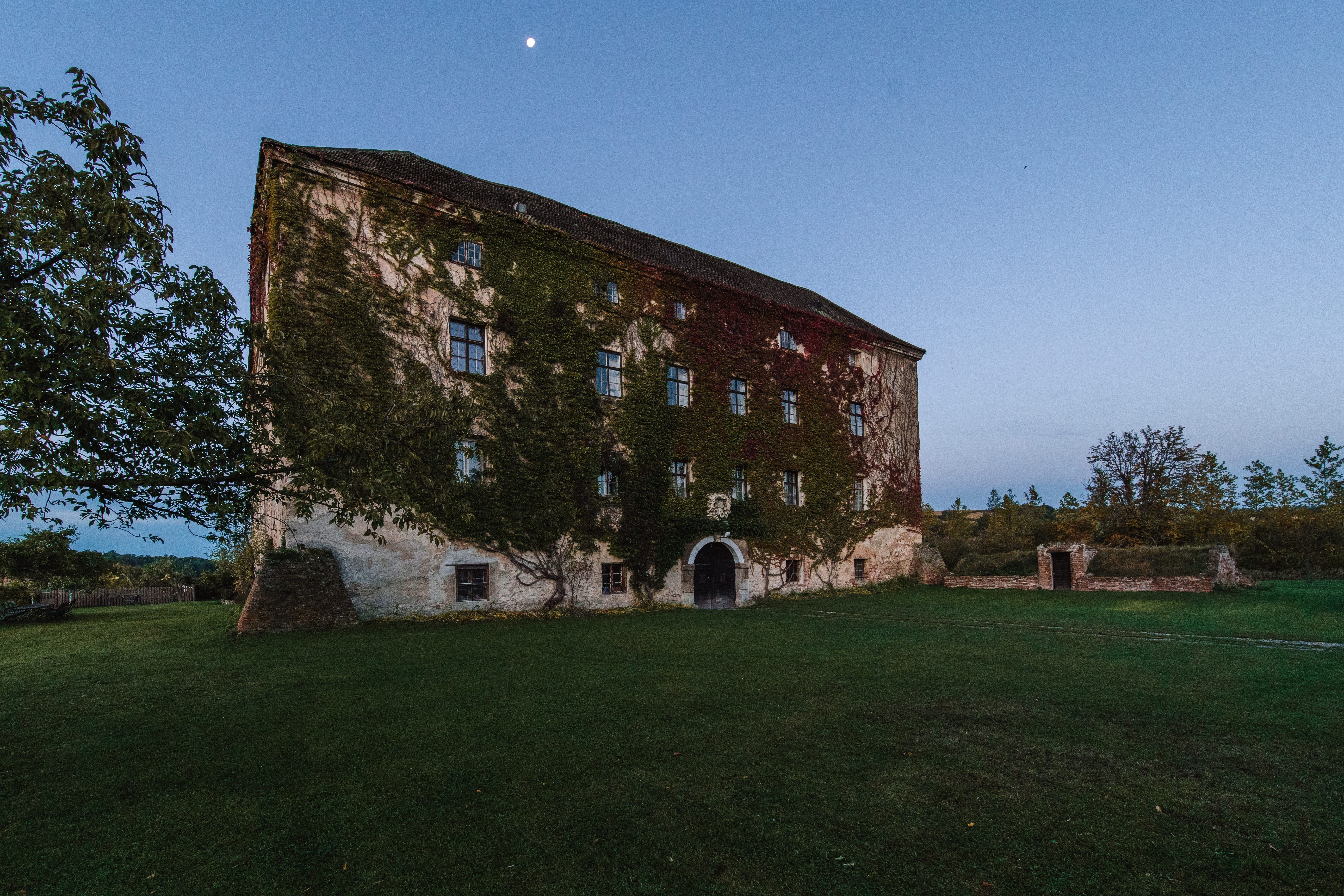 Old building overgrown with ivy, surrounded by meadow and trees, with moon in the sky at dusk.