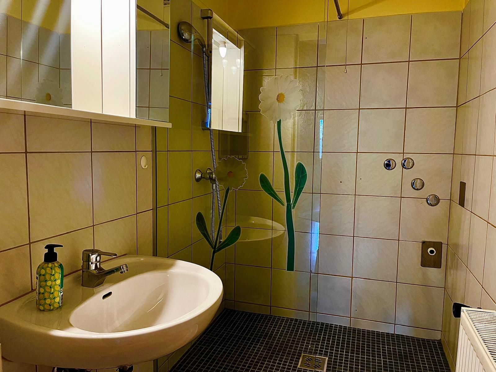 Bathroom with washbasin, mirror and shower screen with floral motif.