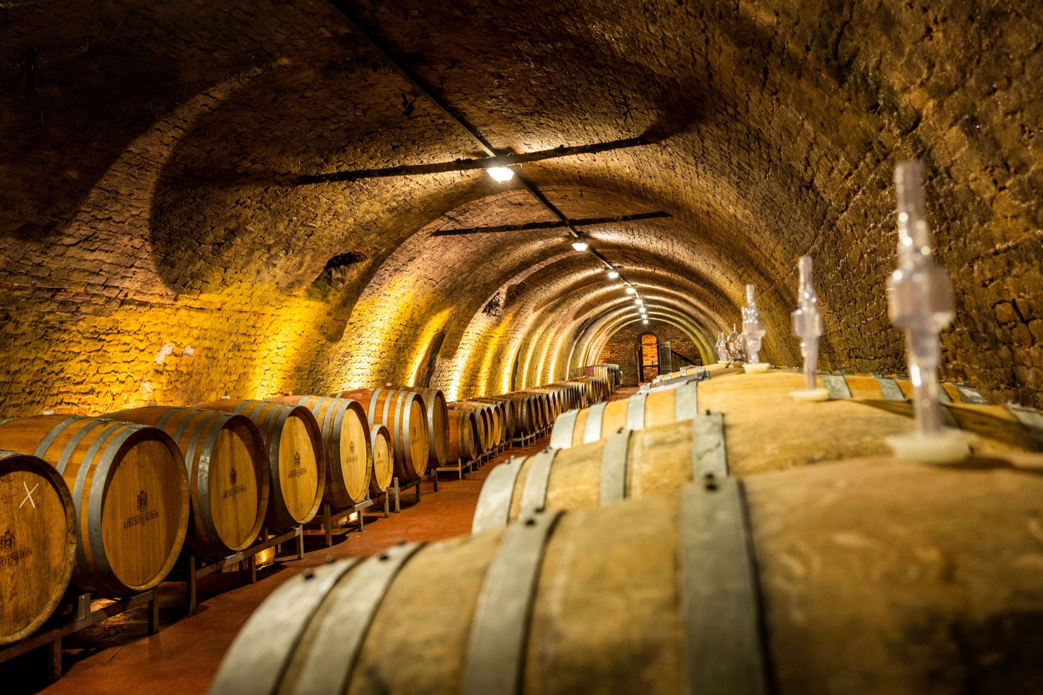 A wine cellar with many wooden barrels in a vaulted, illuminated room.