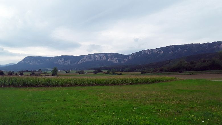 Landscape with green fields and the Hohe Wand in the background under a cloudy sky.