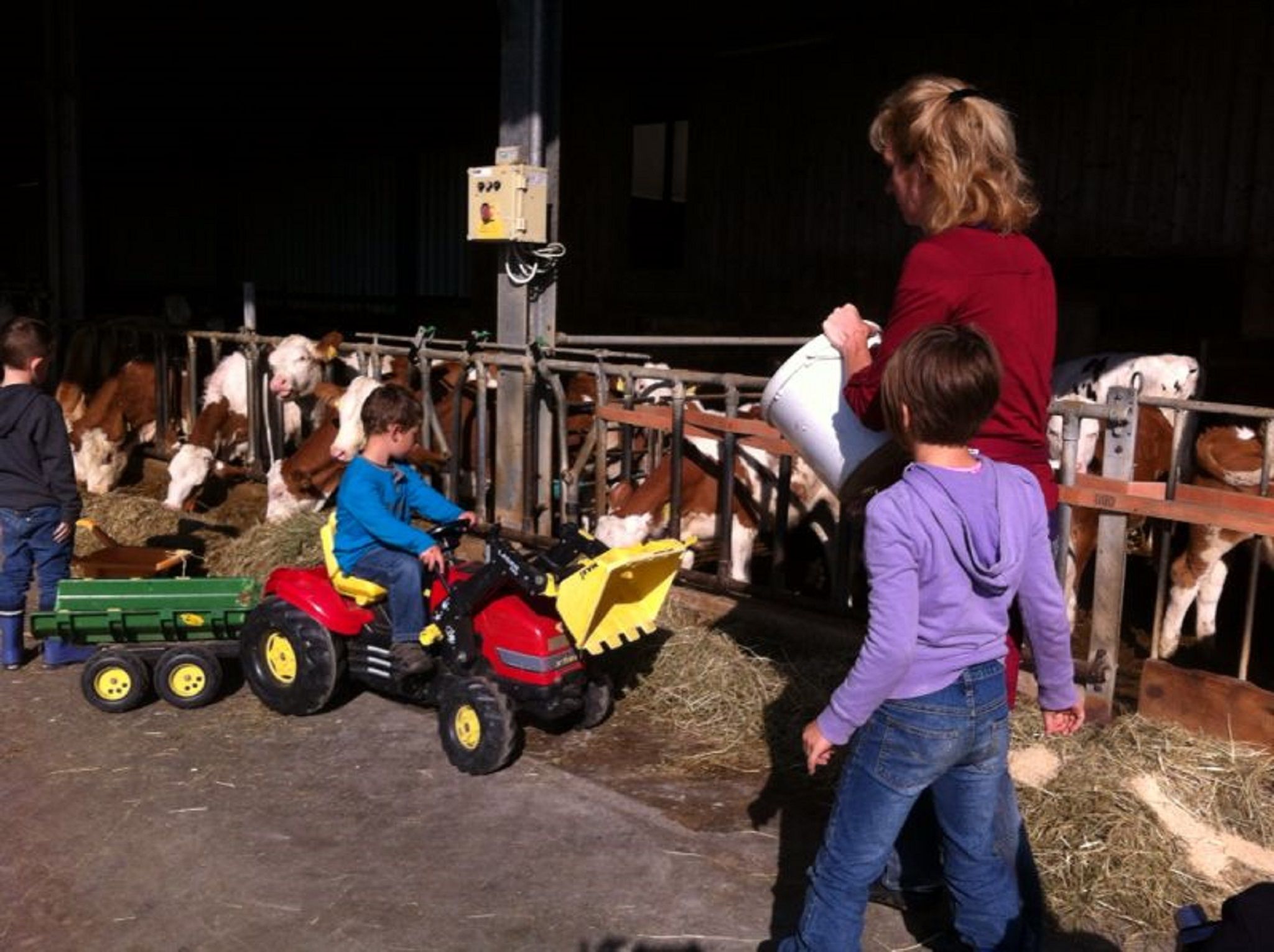 Children play with a toy tractor in a cowshed.
