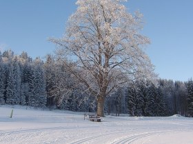 (c) Klaus Tannh&auml;user, &copy; (c) Klaus Tannh&auml;user