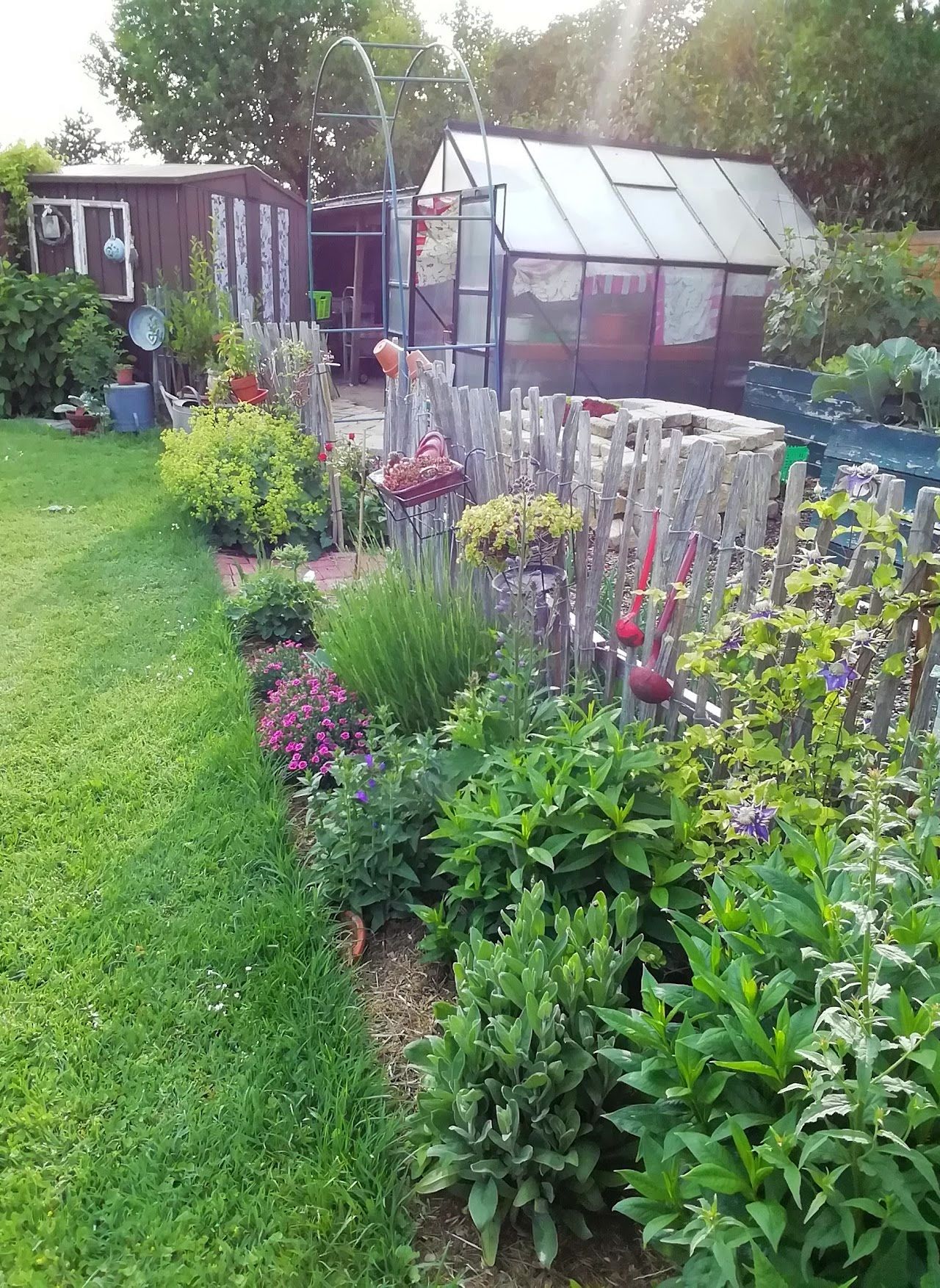 A well-tended vegetable garden with greenhouse, wooden fence and flowering plants.
