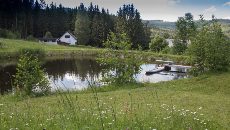 Bathing pond & house view, &copy; Chalet-Nordwald, Fotograf Angela Hauler