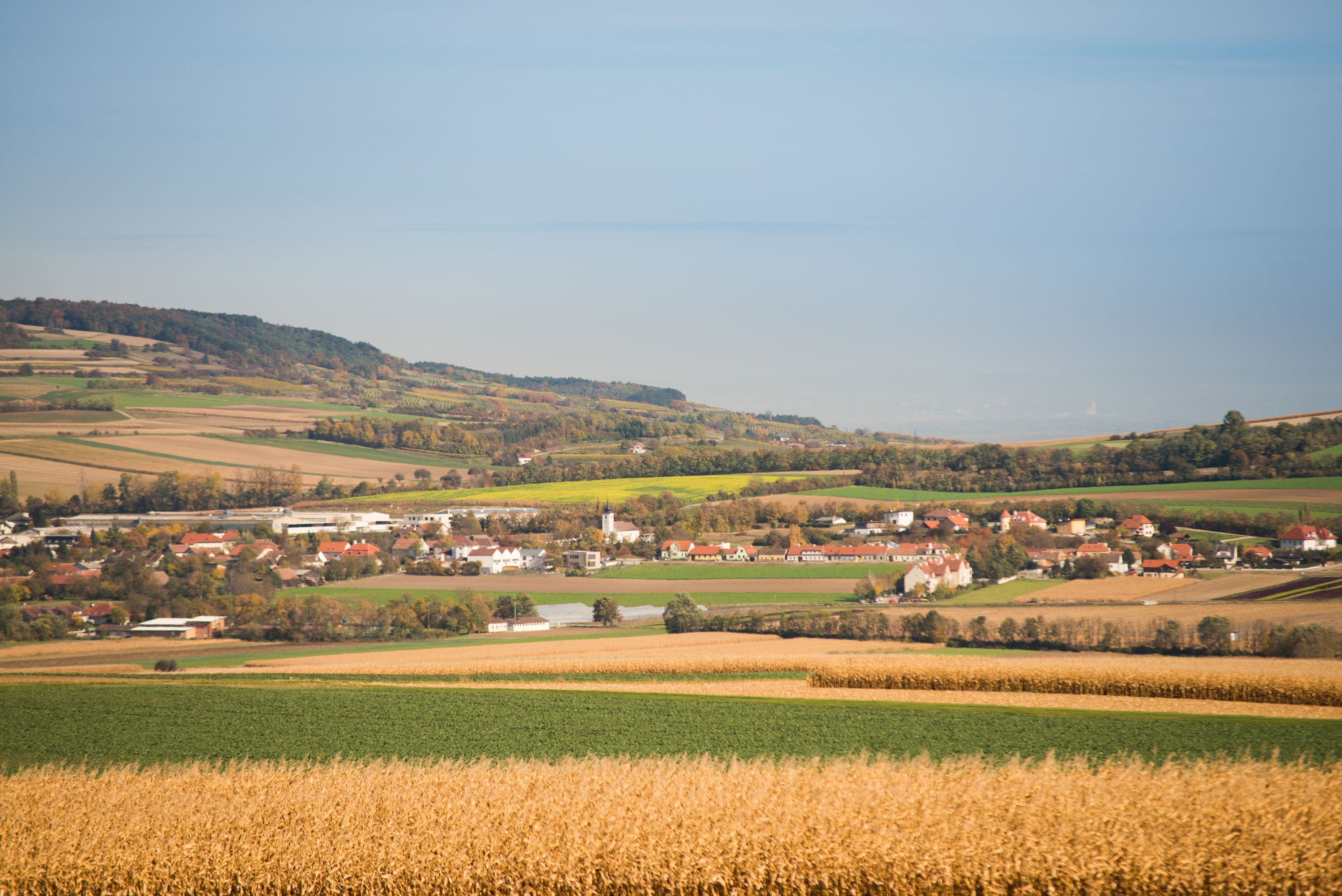 Landscape with fields and a village in the background, surrounded by hills and trees.
