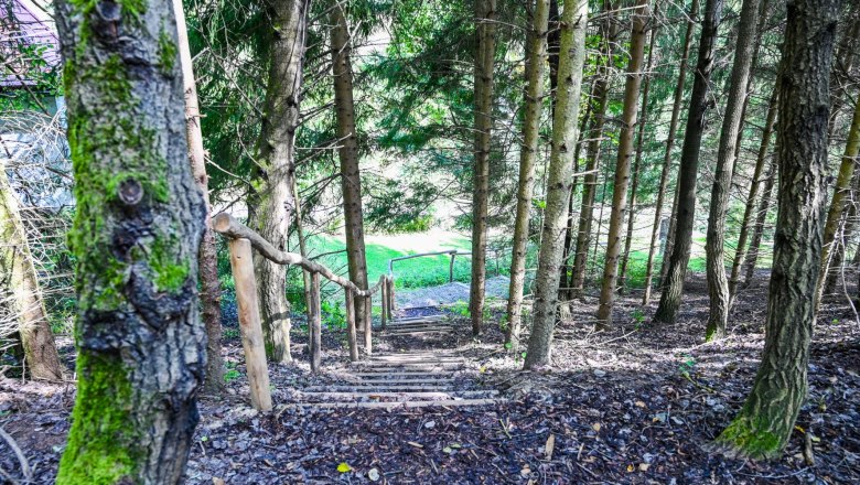 Healing forest Senftenberg, © Nuhr Medical Center