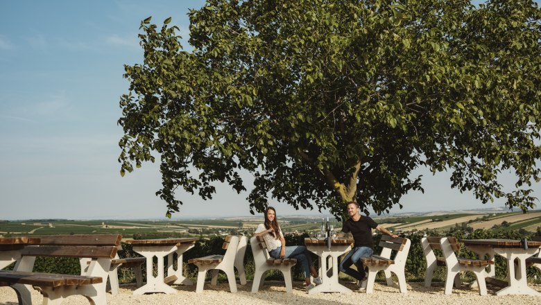 Two people sit at a table under a tree with a view of a vast landscape.