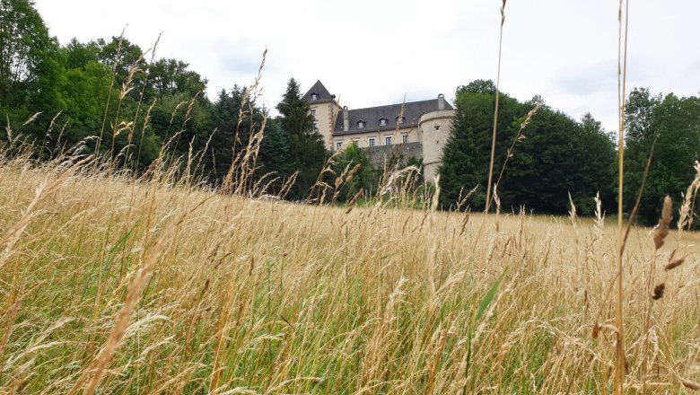 Neuhaus Castle, © burg-neuhaus_kathrin-huemer_wienerwald-tourismus