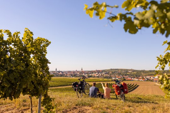 Short break near Retz on EuroVelo 13., © Niederösterreich Werbung/ Franziska Consolati