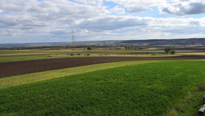 Wide landscape with fields and electricity pylons under a cloudy sky.