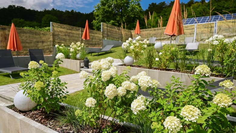 Terrace garden with white flowers, sun loungers and orange parasols.