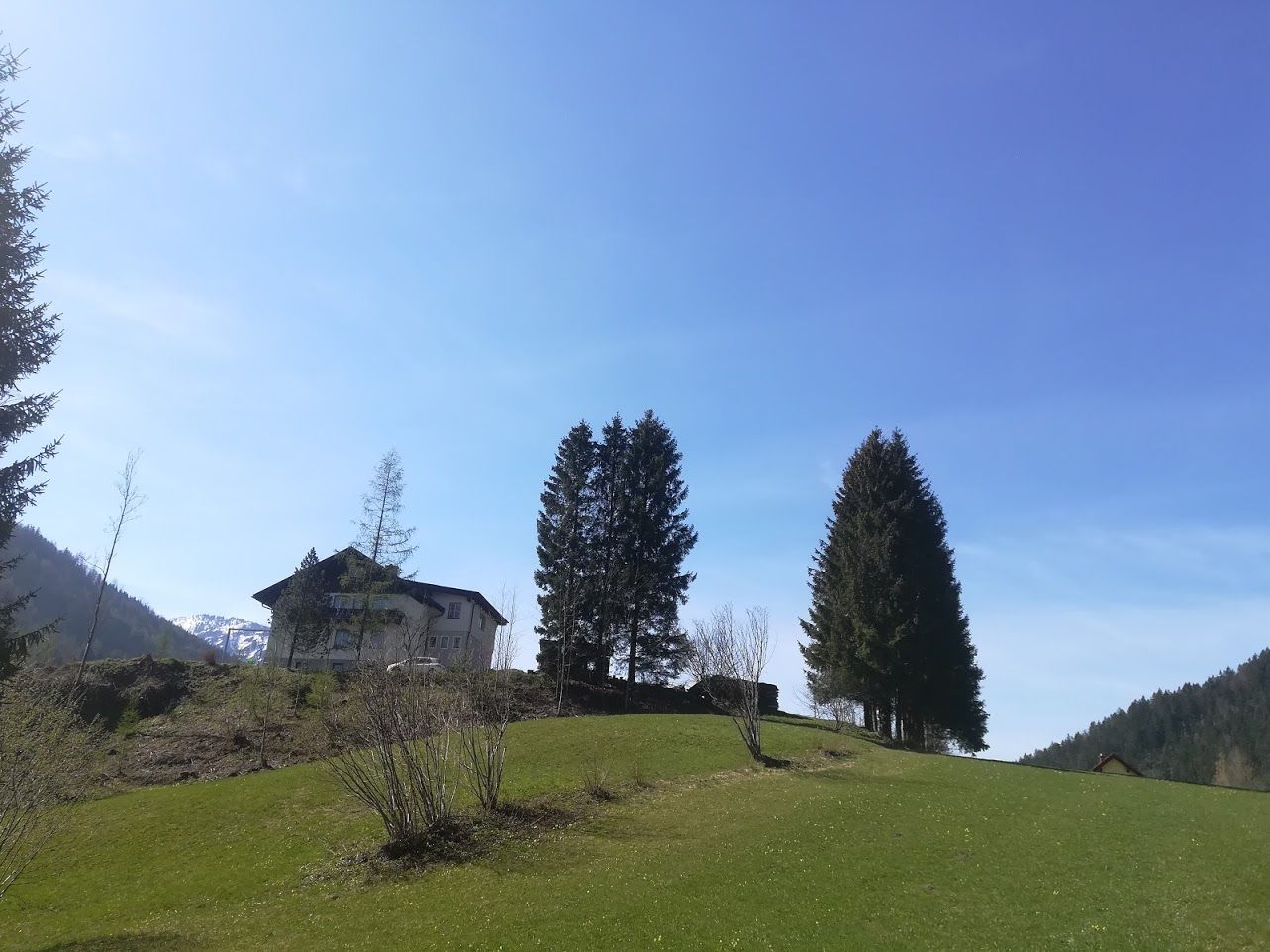 View house