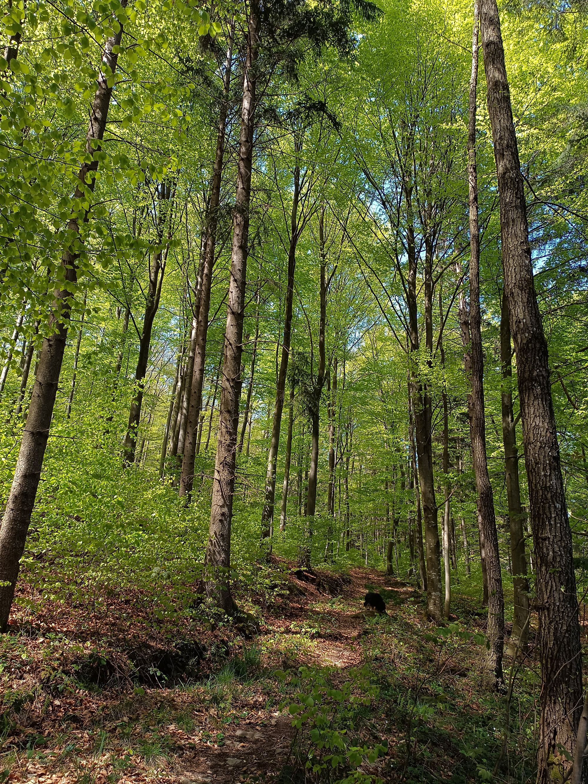 Hiking trails accessible from the vacation apartment