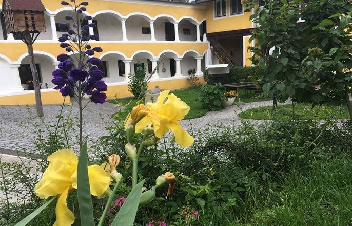 Winery Arkadenhof, © Maria Hausdorf