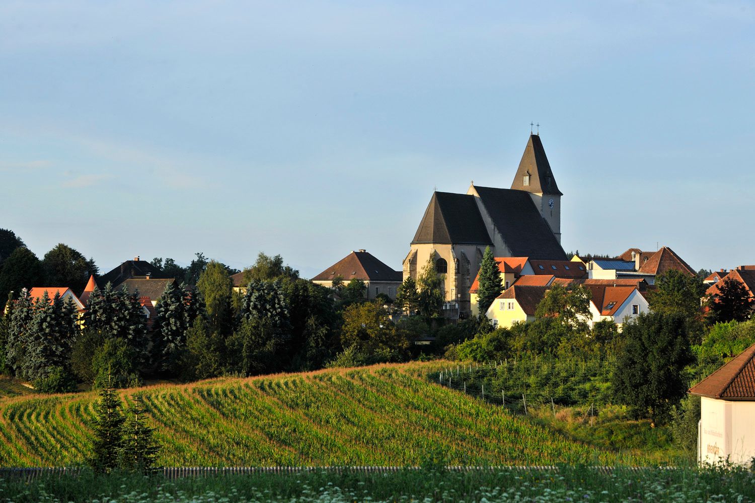 Landscape with church and village in the background, surrounded by fields and trees.