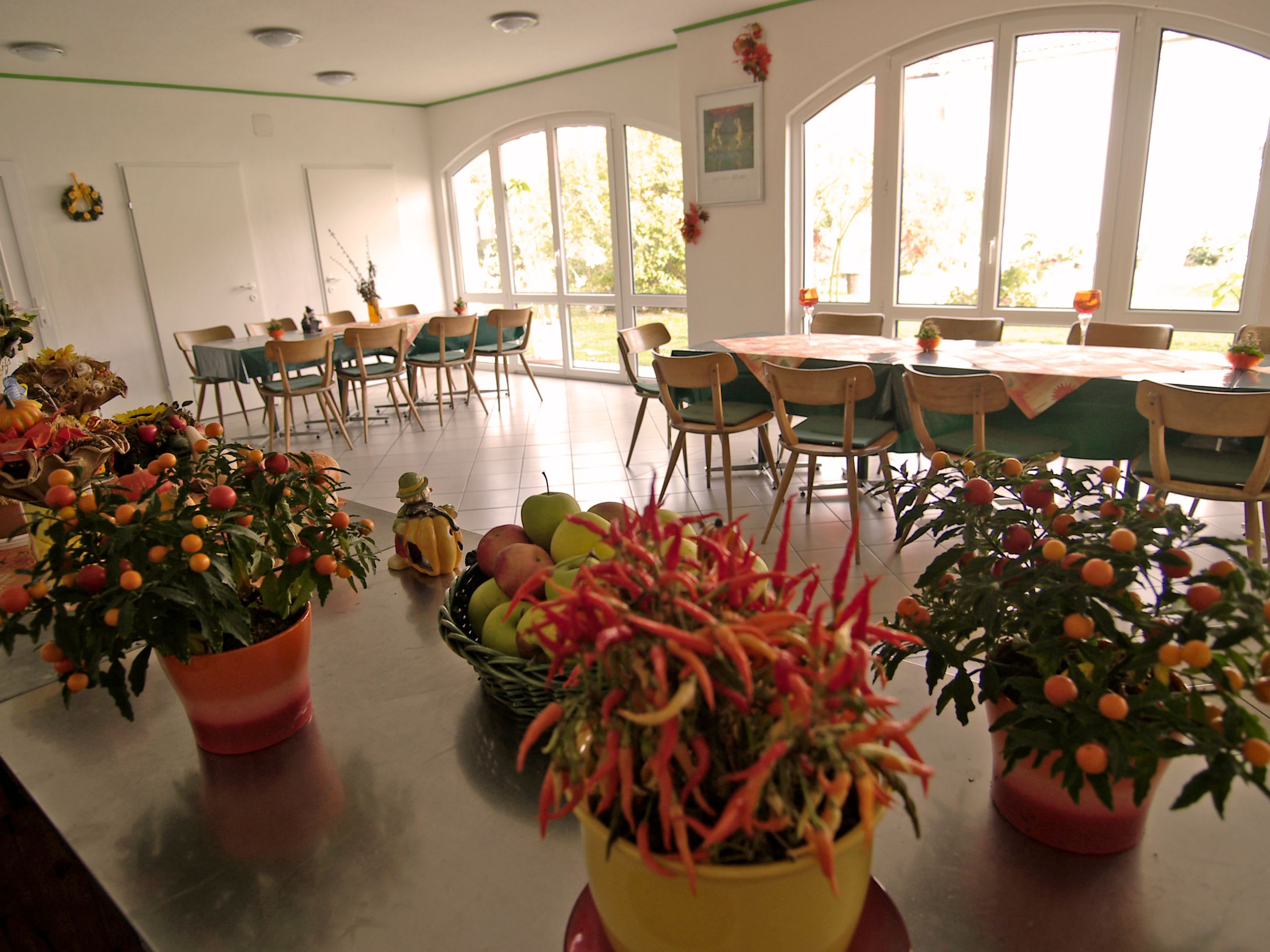 A bright room with large windows, decorated with plants and bowls of fruit on a table.