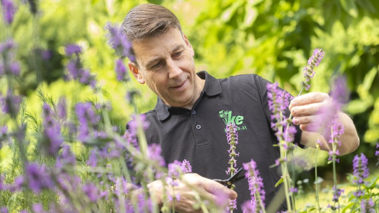 TVA Produktions- und Vertriebs GmbH, &copy; Theo Kust