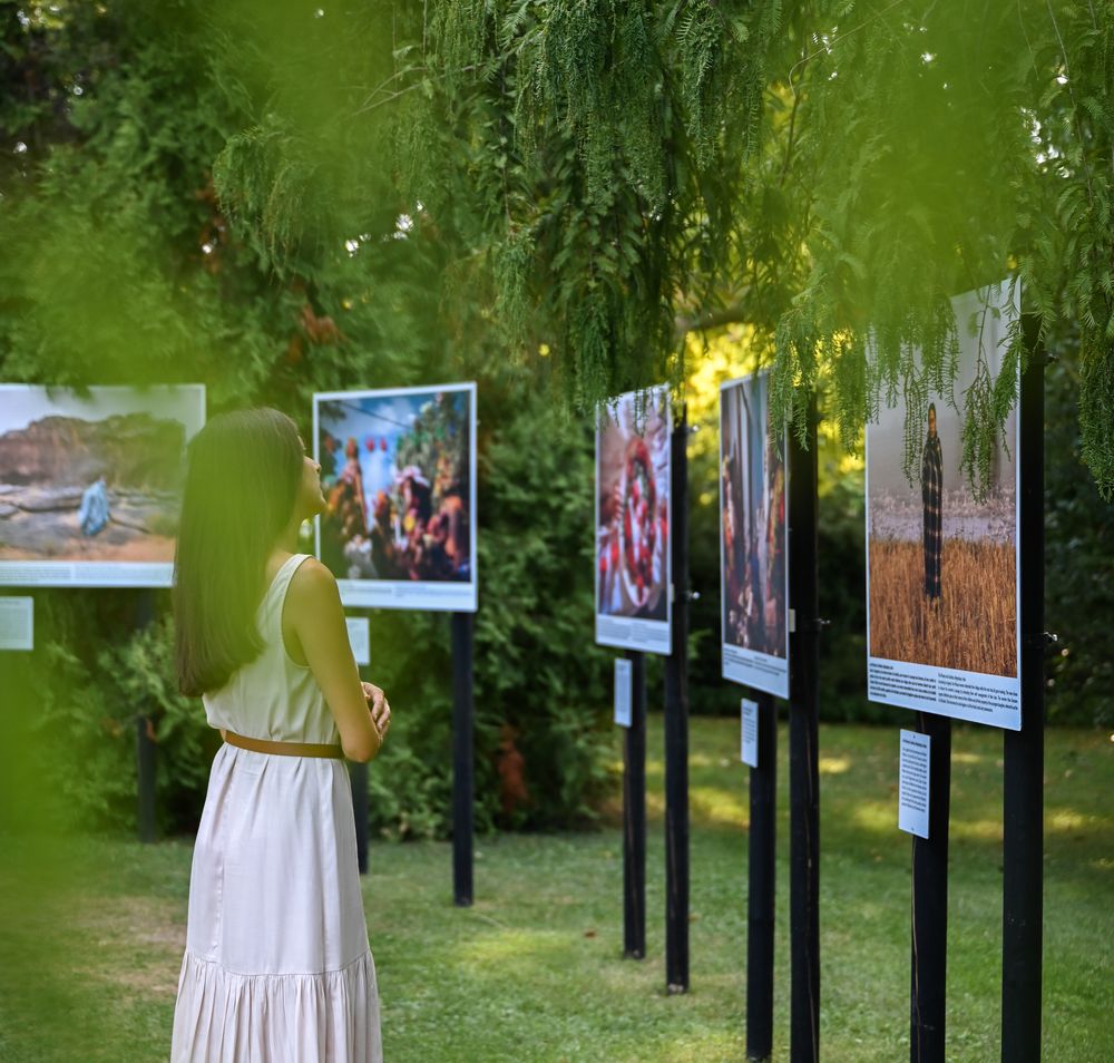 Inmitten üppiger grüner Bäume und sanfter Wiesen entfaltet sich eine faszinierende Ausstellung, die die Schönheit der Natur und die Kunst der Fotografie vereint. Besucher schlendern entspannt zwischen den beeindruckenden Bildern und genießen die friedliche Atmosphäre, während die warmen Sonnenstrahlen durch das Blätterdach scheinen.