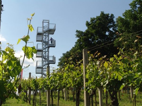 Corkscrew lookout point in a vineyard with a blue sky.