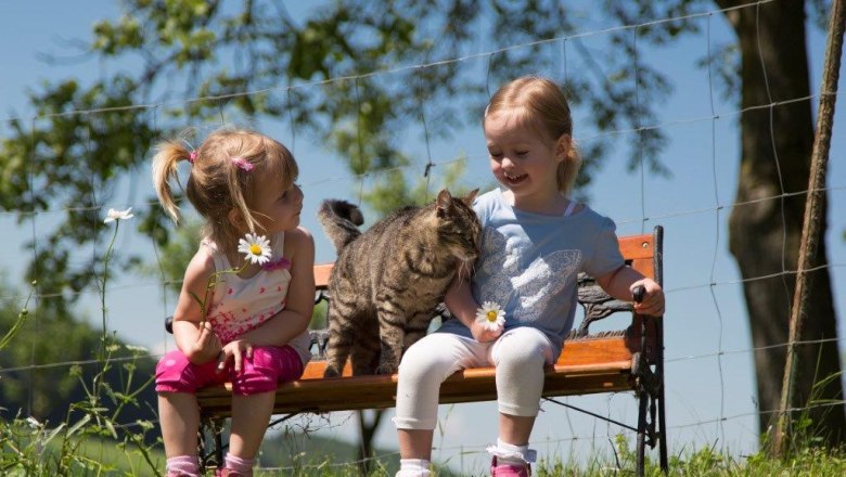 Sitting on the bench with the cat, © Kerndlerhof