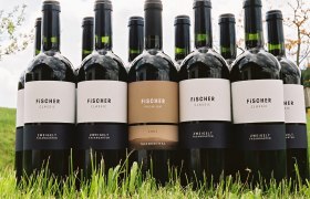 Several Fischer wine bottles are standing in the grass.