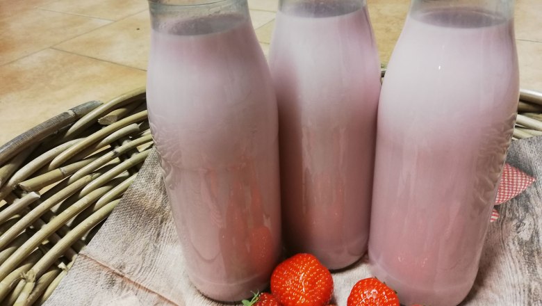 Mizie Hof Prellenkirchen, Brand family, strawberry milk, &copy; Mizie Hof Fam. Brandl Gerhard