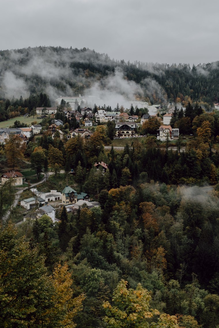 Dense pine forests on the Semmering., © Niederösterreich Werbung/Franziska Consolati