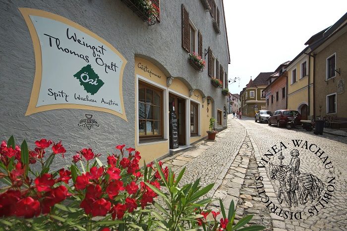 Street in Spitz, Austria with vineyard and flowers.