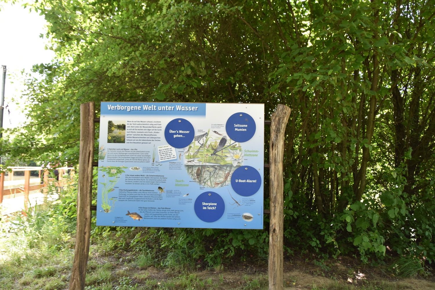Hörersdorf pond experience