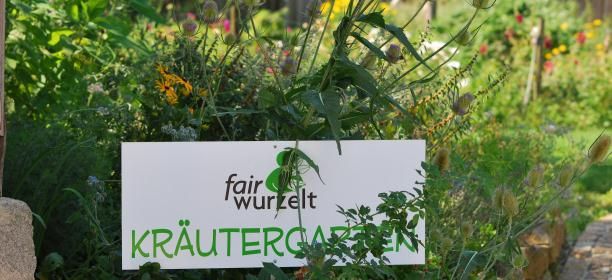 A sign with the inscription 'fairwurzelt Kräutergarten' (fairwurzelt herb garden) stands in the midst of green plants and flowers.