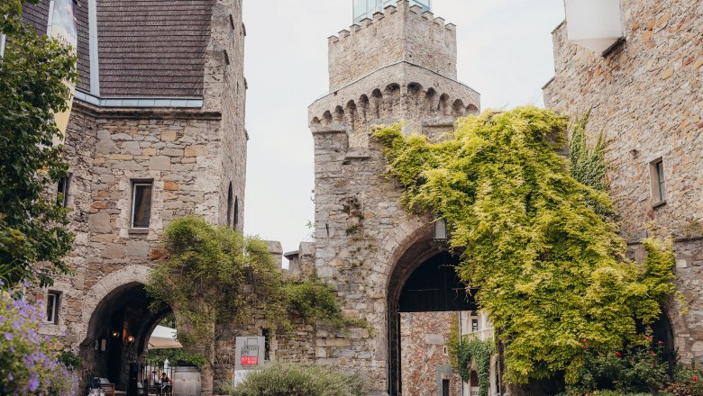 Entrance gate of Schloss Rothschild with overgrown stone walls.