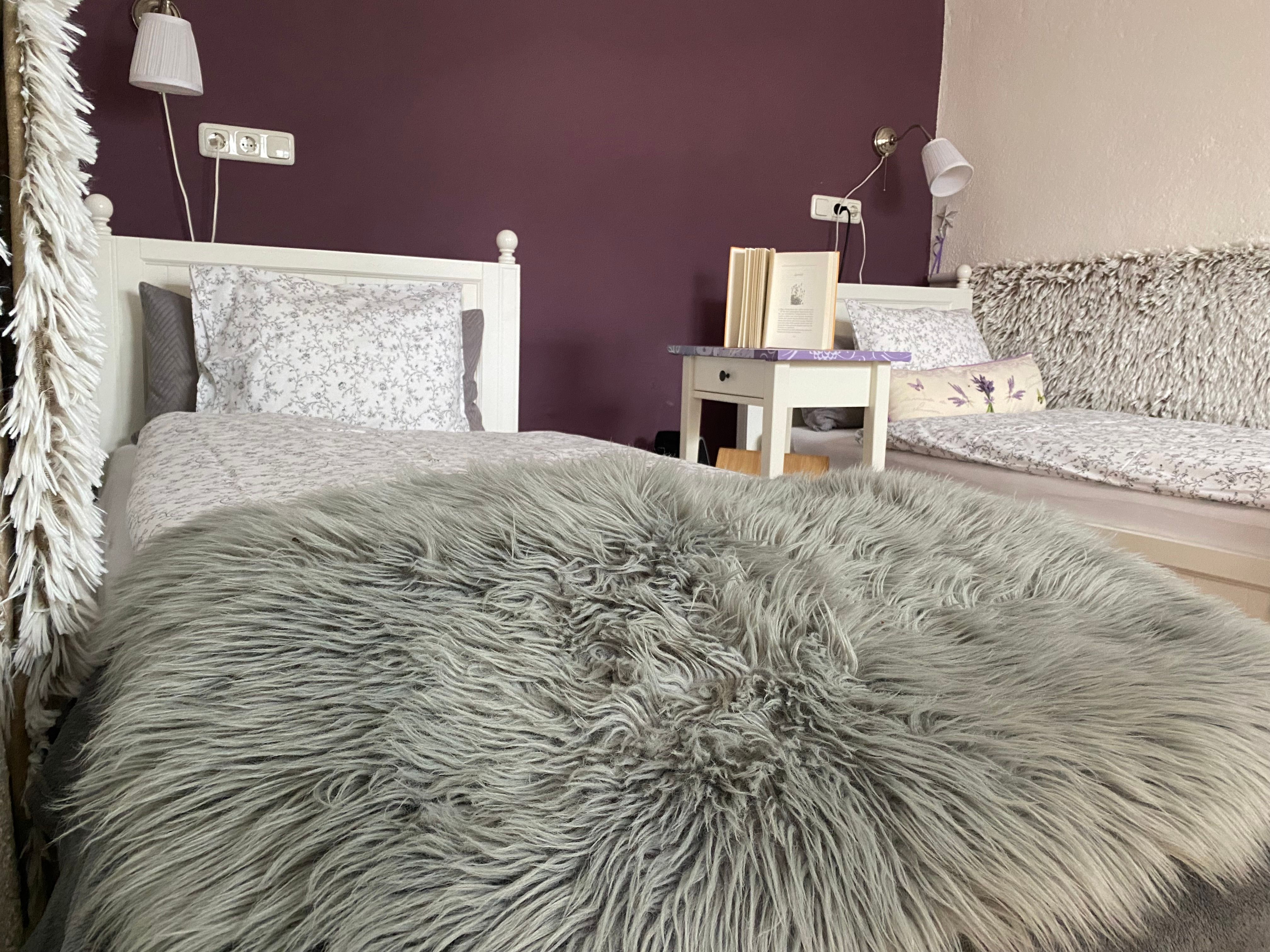 Twin room with purple wall, two beds, bedside table with book and fluffy blanket.