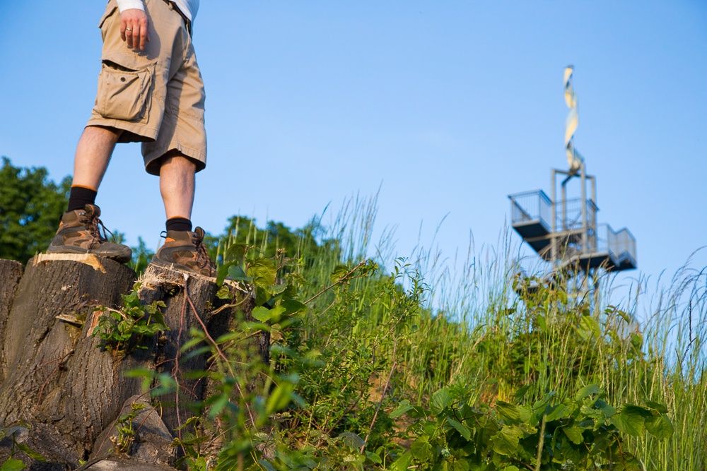 Person standing on tree stump with observation tower in the background.