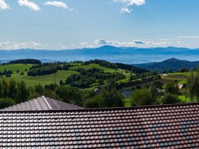 Braunegg, &copy; Unknown