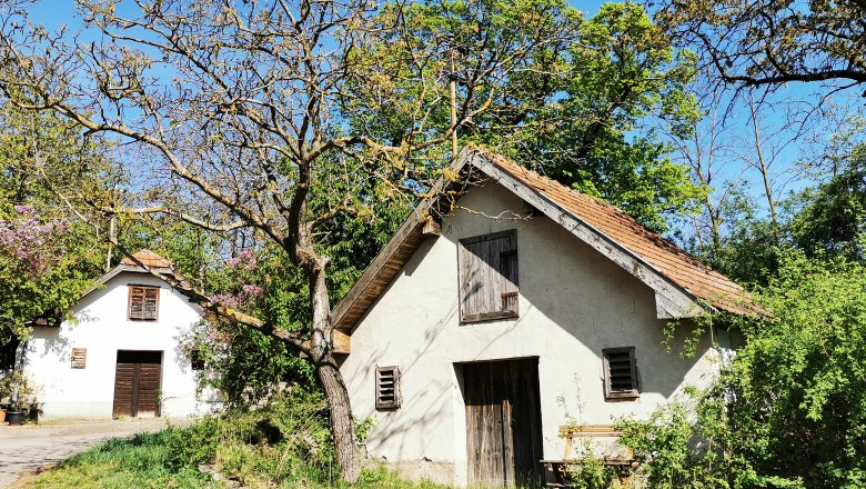 Two small, traditional wine cellars in a green setting with blossoming trees and blue skies.