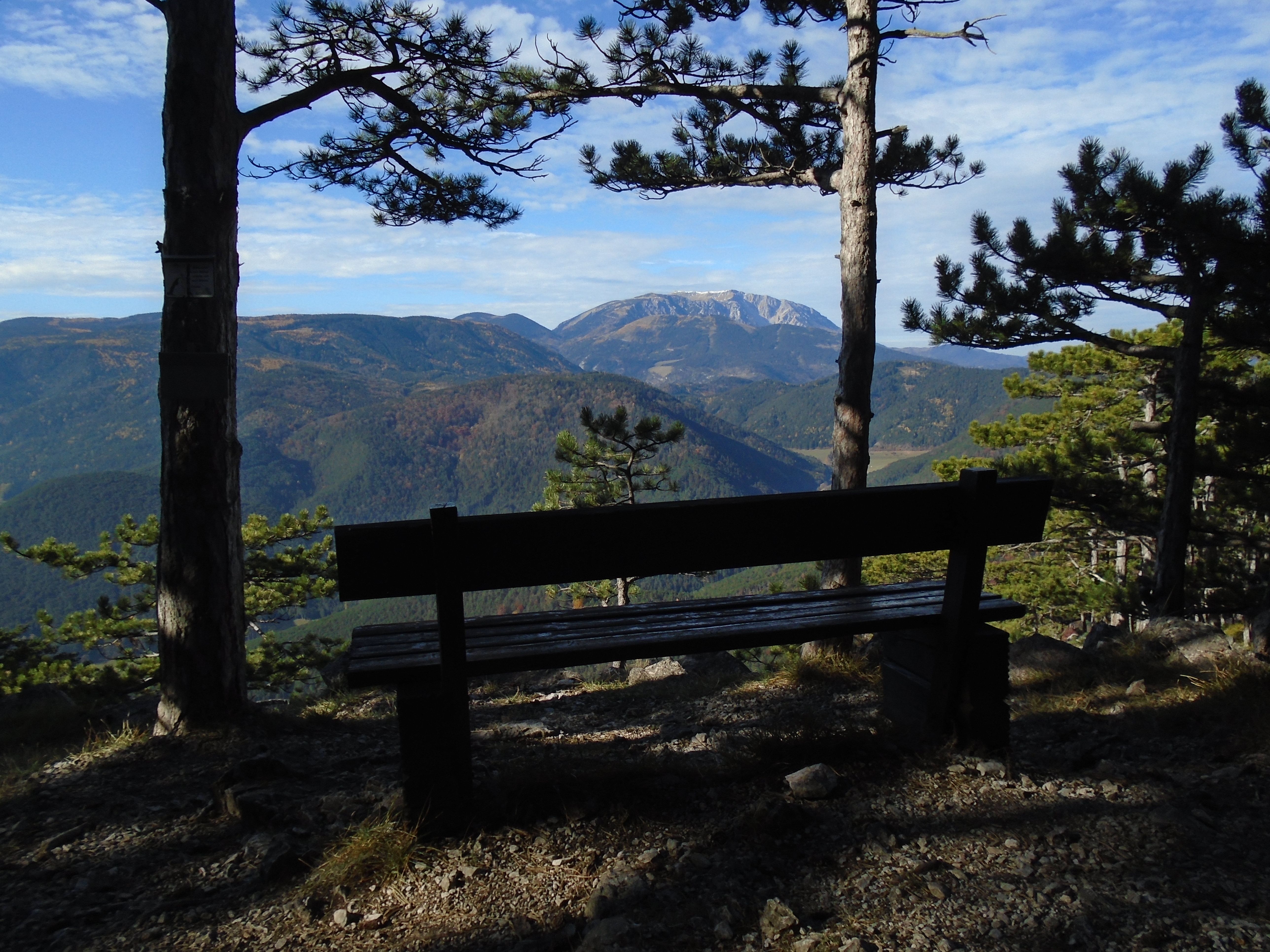 View of the Schneeberg through trees with a bench in the foreground.