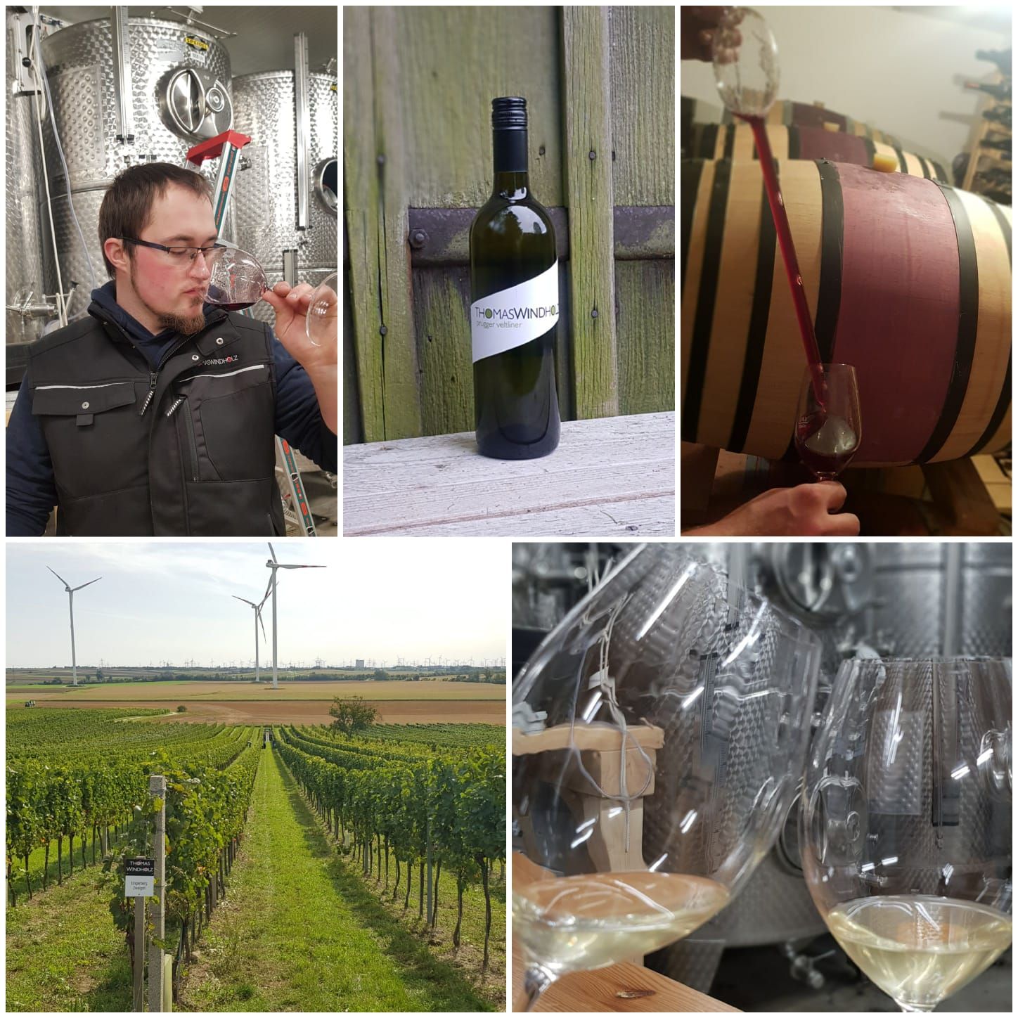 Viticulture Thomas Windholz, Bruck/Leitha