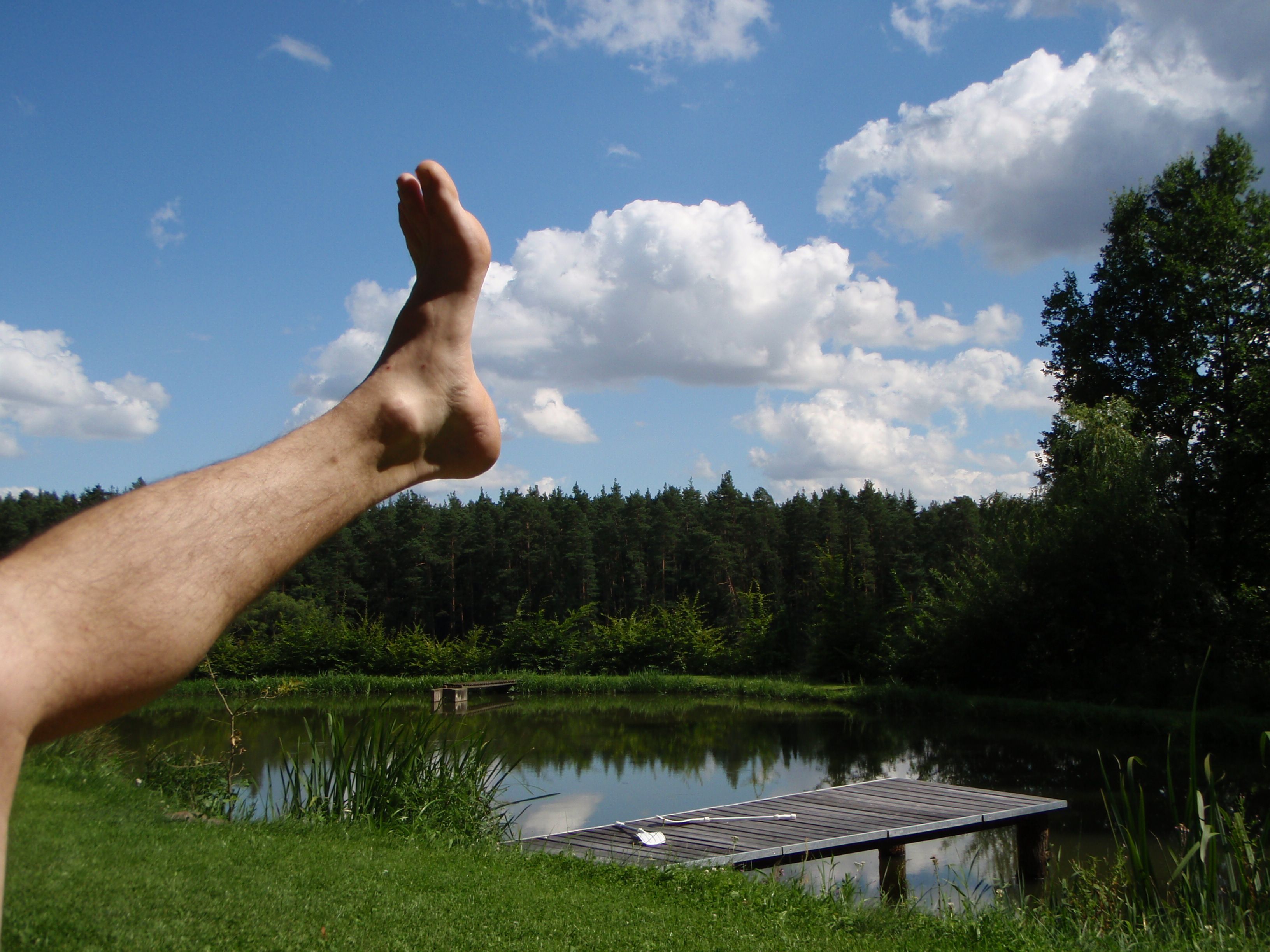 A leg with a raised foot in front of a pond with a footbridge and forest in the background.