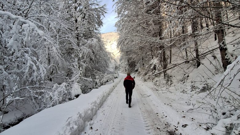 ferienhof-schelchen-in-winter-21, &copy; Schoisswohl