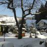 Winter landscape with snow-covered houses and trees.