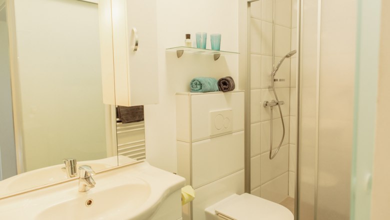 Modern bathroom with shower, washbasin and toilet.