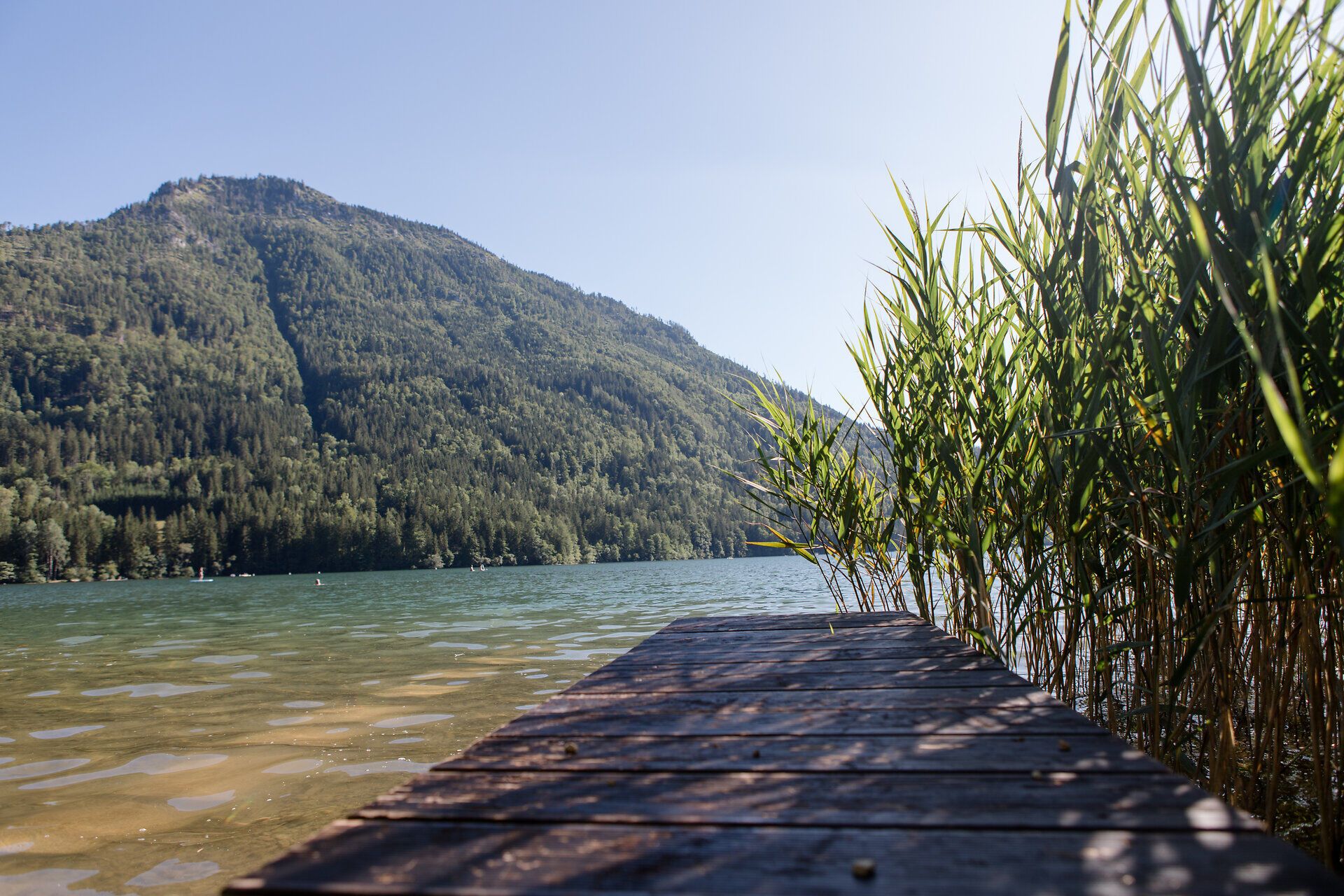 Modern house with a mountain in the background on a sunny day.