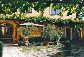 A cozy courtyard with plants, a parasol and a yellow building in the background.