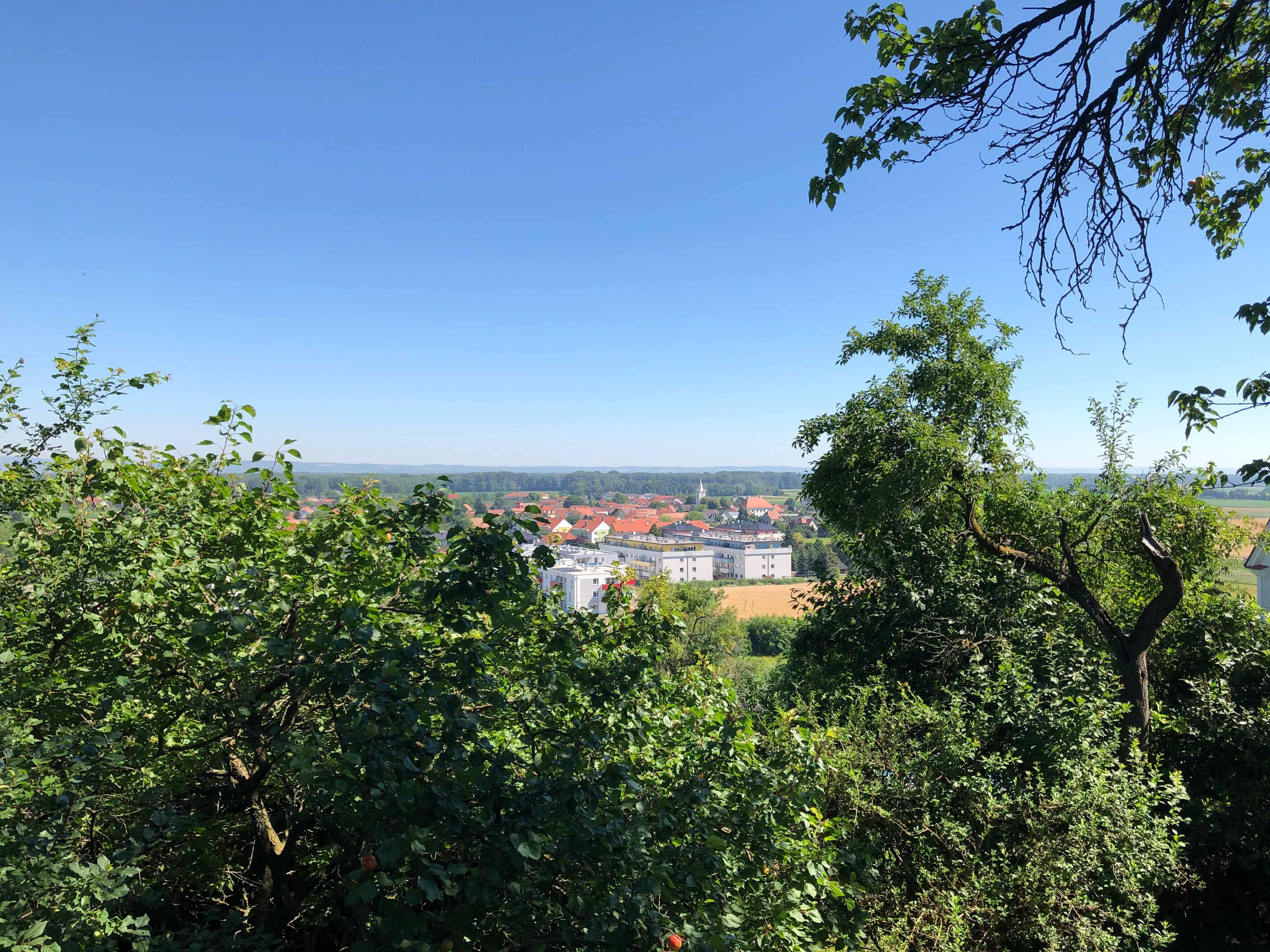 View of a city with red roofs, surrounded by green trees and a blue sky.