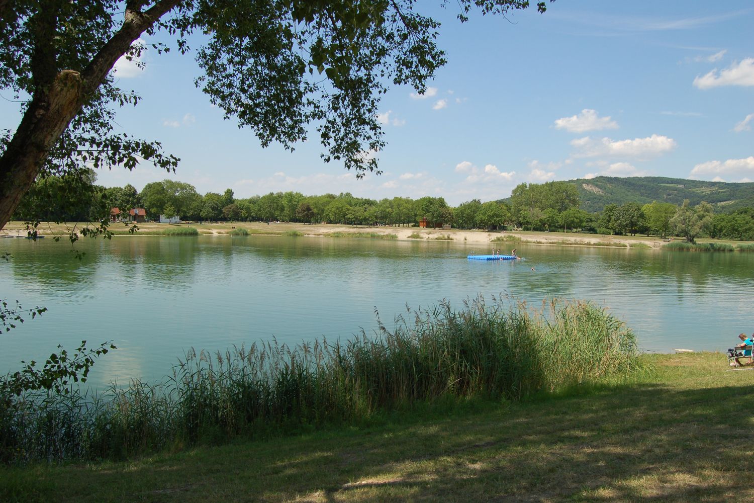 A peaceful lake with trees and a jetty in the background, surrounded by green countryside.