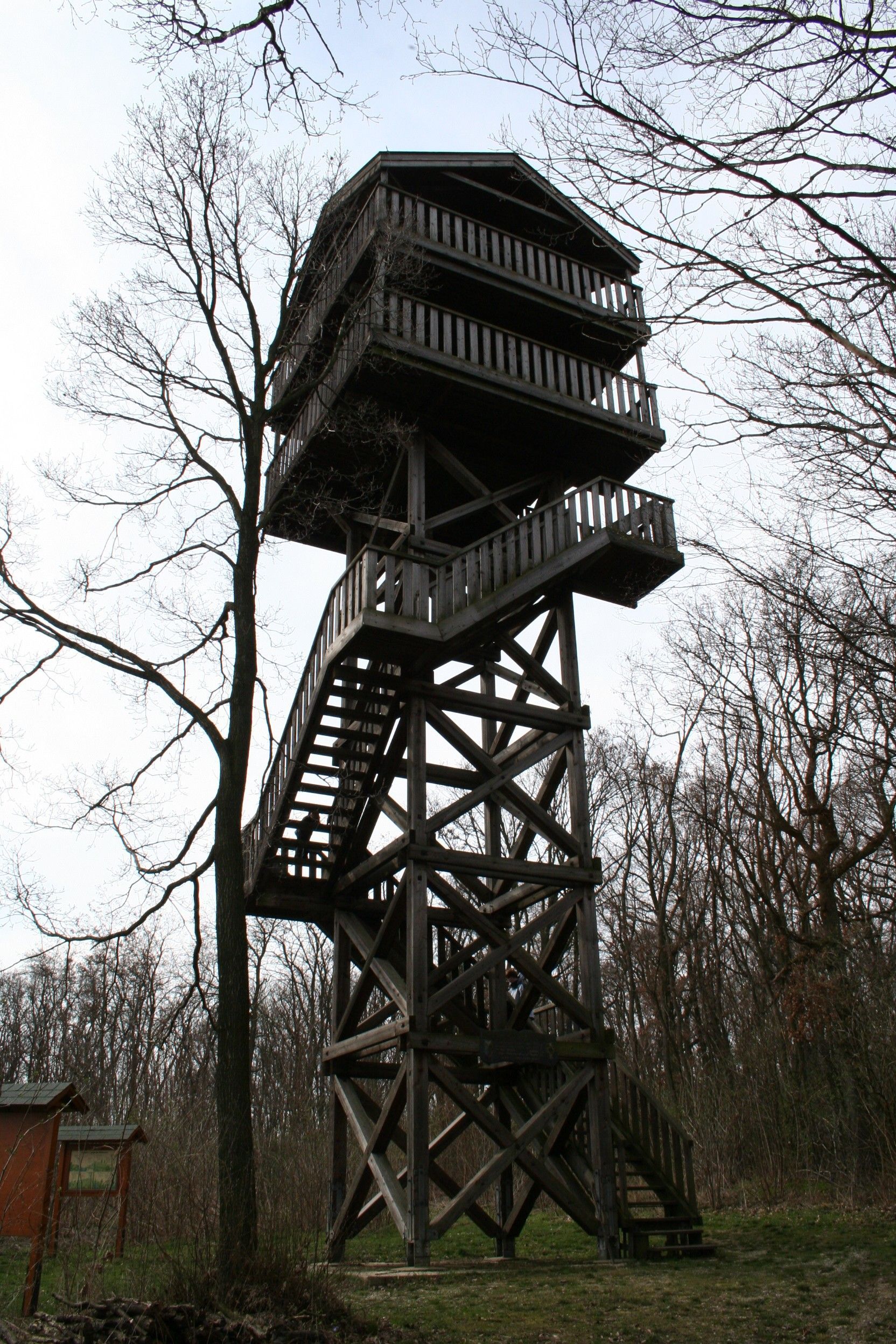 Wooden lookout tower in the forest with bare trees.