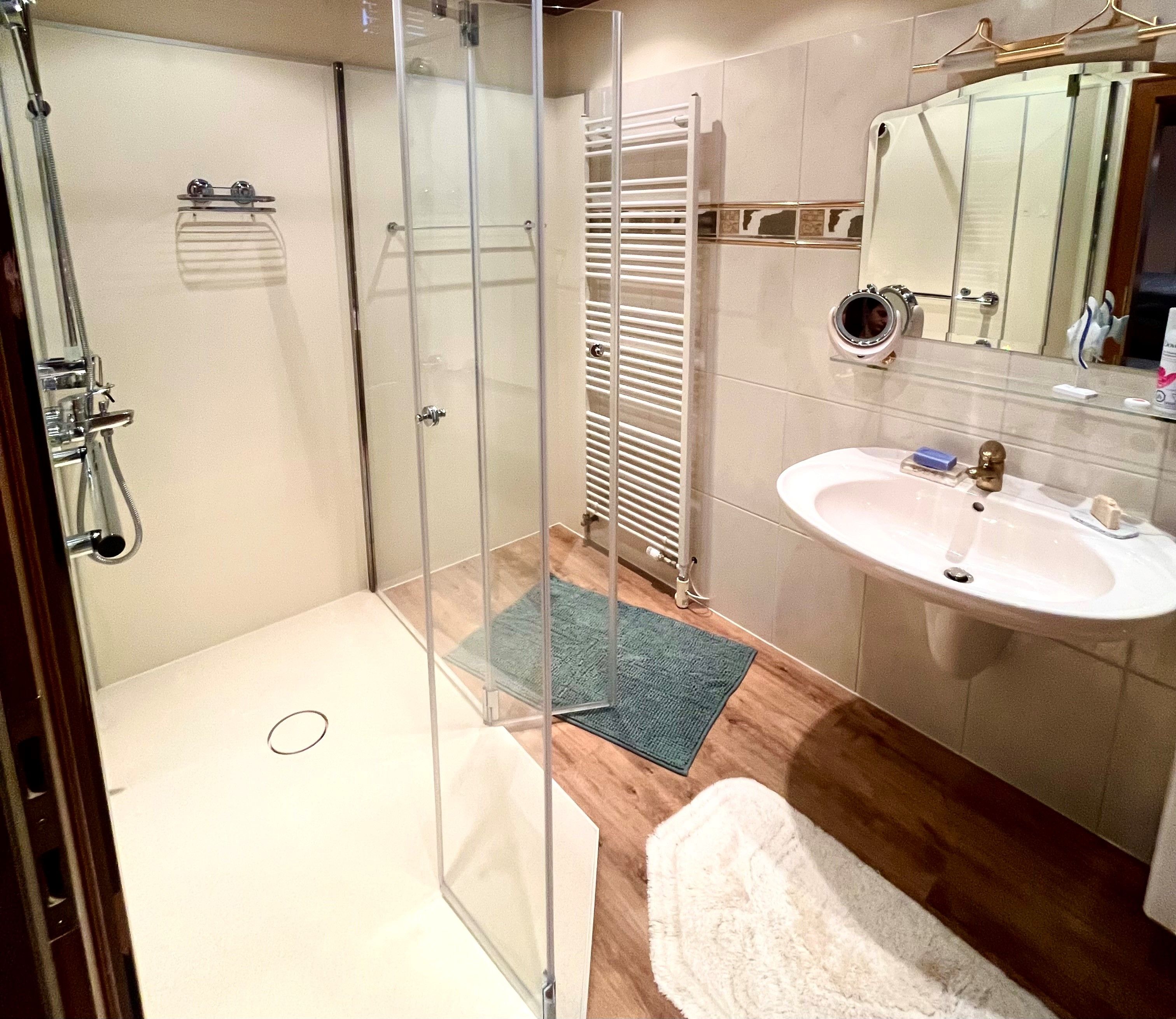Modern bathroom with shower, washbasin and heated towel rail.