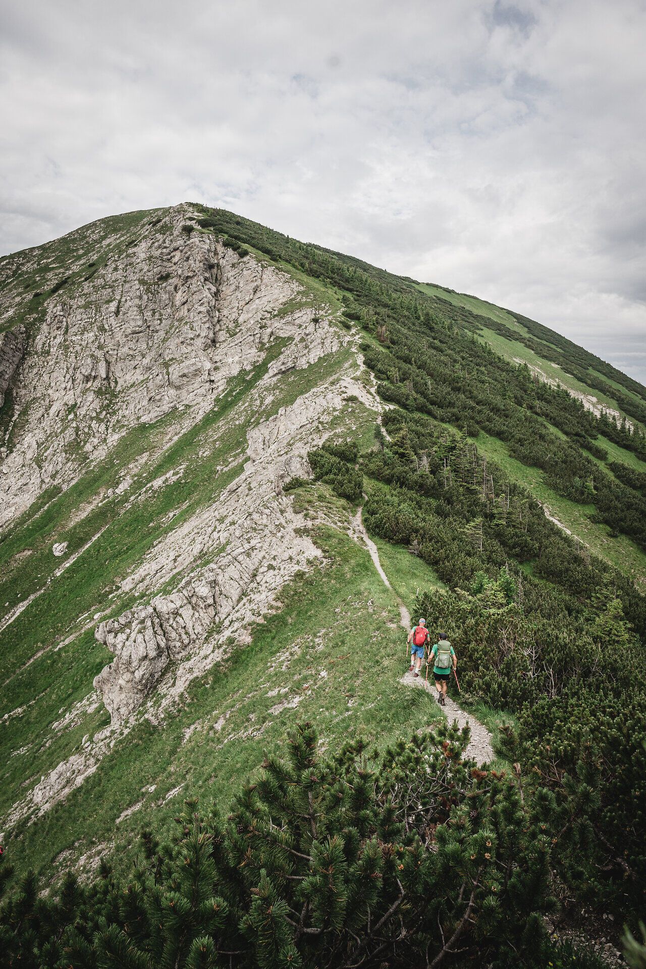 Die sanften Hügel und die beeindruckenden Felsen laden zu einem unvergesslichen Abenteuer in der Natur ein. Während die frische Bergluft die Sinne belebt, genießen die Wanderer die atemberaubenden Ausblicke auf die umliegende Landschaft. Hier, wo die Ruhe der Berge auf die Freude am Trailrunning trifft, wird jeder Schritt zu einem Erlebnis.